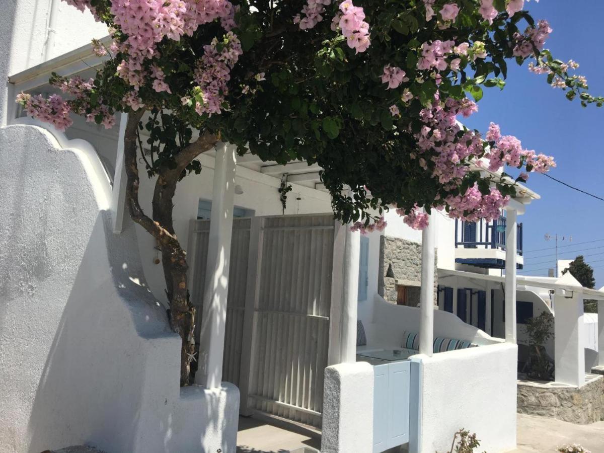 Mina Studios Platys Gialos  Buitenkant foto